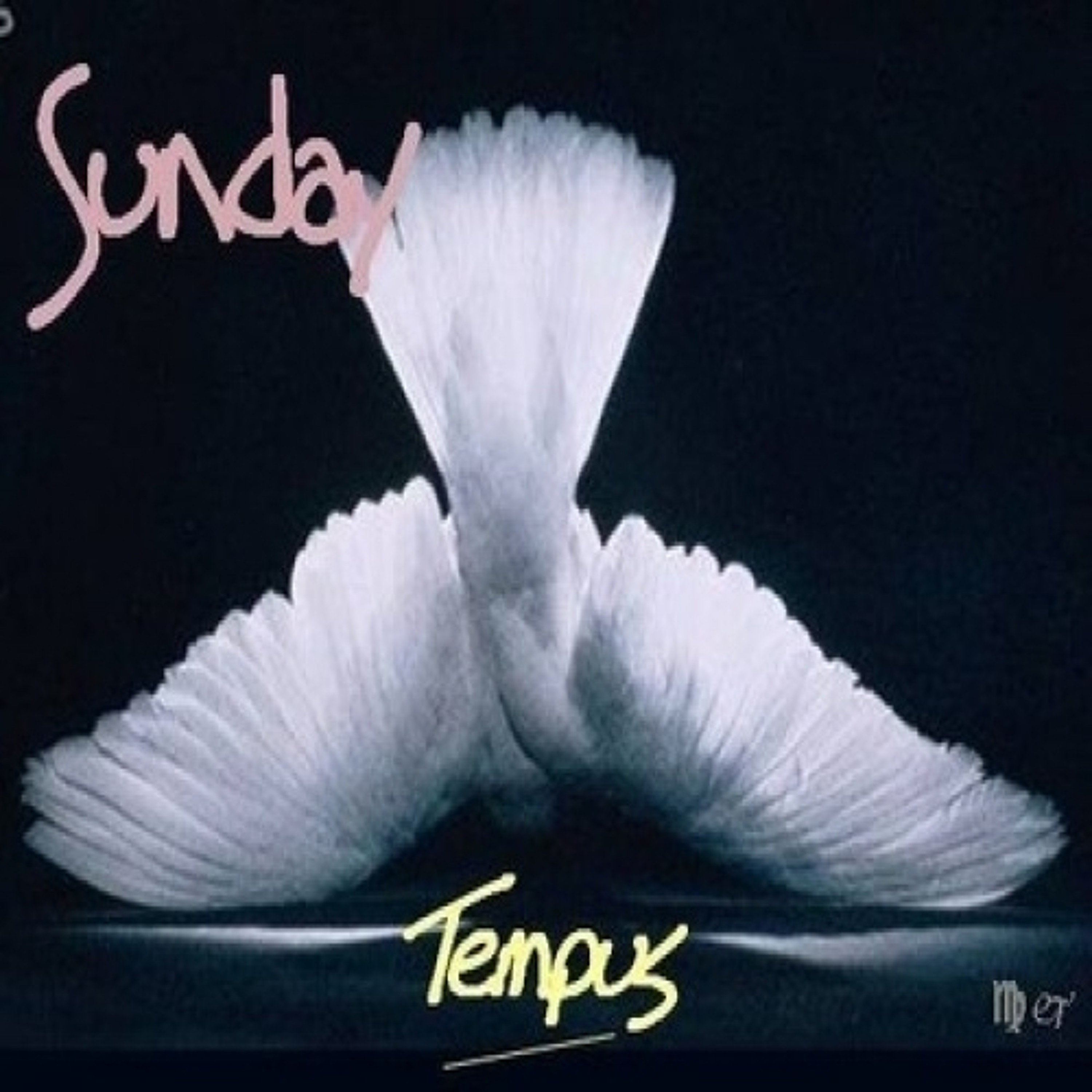 The Tempus Collective - "Sunday" episode artwork