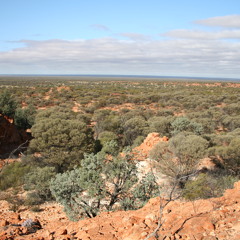 Sylvan Esso - Coffee (Edit)(Tom)