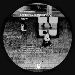 Kai Torres & Mehrklang - I Know (ill-Boy Phil & Djoker Remix) [MASTER] Snippet
