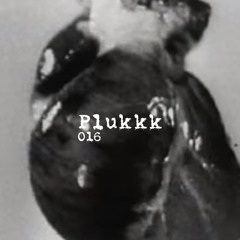 Quality4U Podcast 016 - Plukkk.