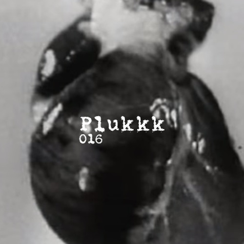 Quality4U Podcast 016 - Plukkk.