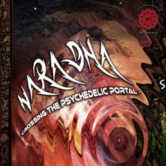 Quantum-D Podcast #10 - Naradha - Crossing the Psychedelic Portal