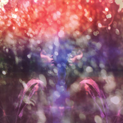 Maybeshewill - In Amber (Radio Edit)