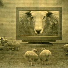 Tecnologías De Libre Albedrío  II