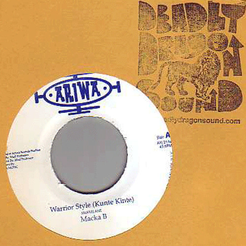 Warrior Style (Seyms DNB Remix) - Macka B - FREE D/L 2025