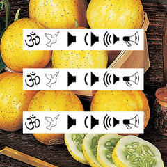 Poor Sport & Gewzer - Lemoncucumber Peas & Trees (lost file)