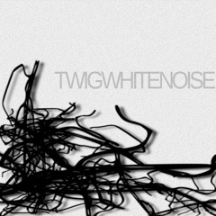 TWIGWHITENOISE