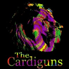 The Cardiguns - Eryna.mp3