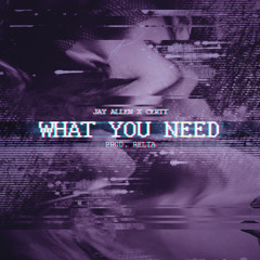 What You Need (Prod. RELTA)
