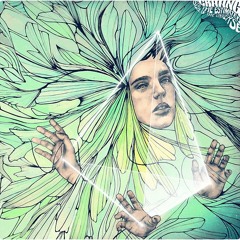 The Meteorian