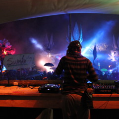 Swinka@Fusion-Festival 2014