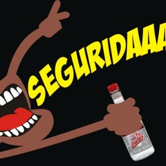 SEGURIDAD