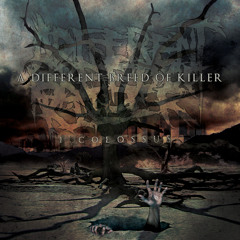 A Different Breed Of Killer - The Accidentist