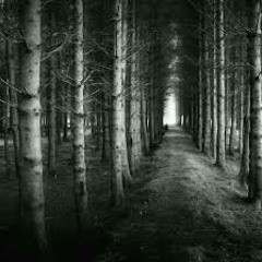 Jaxxtone & Christopher Nitti - Funky Tittt's (Original Mix)