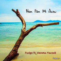 Fudge Ft. Verena Macsek - Nur Für Mi Alan
