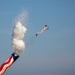 Tangled Branches- Human Cannonball