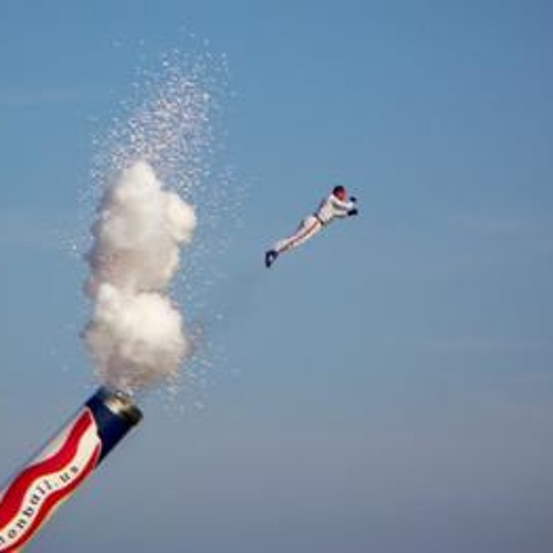 Tangled Branches- Human Cannonball