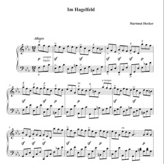 Im Hagelfeld