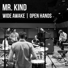 Mr. Kind - Good Enough