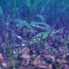 Mixtape 4 - Morado y Mojado