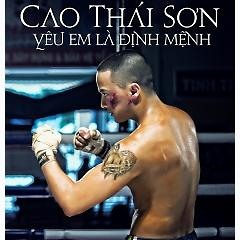 Cao Thai Son - Yeu Em La Dinh Menh - DJ Diamen Remix
