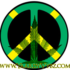 VYBZ KARTEL (ADDI INNOCENT) - WITHOUT MONEY - REGGAE LOVE SONGS - TJ RECORDS