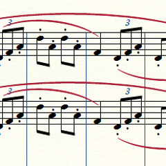 Fantasia para Flauta e Orquestra Op. 3