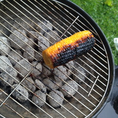 "There are too many taps opened in my head"