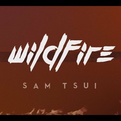 Sam Tsui - Wildfire