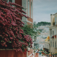 Portuguese Lullaby