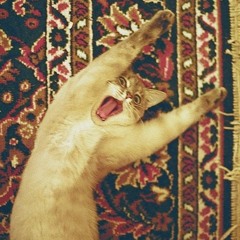 Anthem - Quinn Galpin (leonard cohen cover with BU singers 2013)