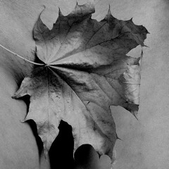 LeGa. - Mjeroda Arsebobis