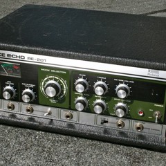 Roland space echo 201 test