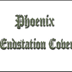 SIDO - Endstation (Live) - (Cover By. Phoenix)