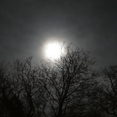 Tears of the Moon