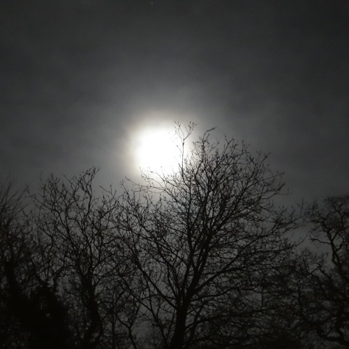 Tears of the Moon