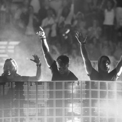 Tom Staar & Ansolo vs. SHM - Totem Vs. Don't You Worry Child (_RL Vocal Edit)
