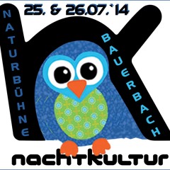 Strange Riots @ Théātre Électronique Bauerbach [7 - 2014]