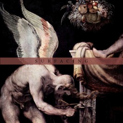 Surfacing Album Sampler