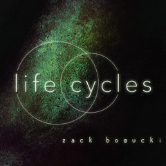 Life Cycles