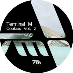 Paride Saraceni - Twenty Ten [Terminal M] preview