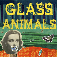 Life Lomographic - Glass Animals