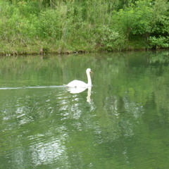 دکلمه رضا پیربادیان