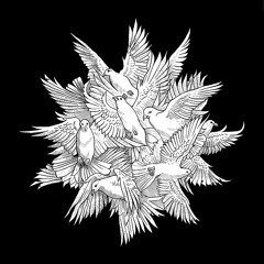 Zoe & Edgard - Made Up With You