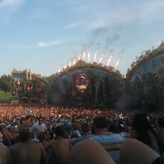 Partymix n°8 - Tomorrowland 2014