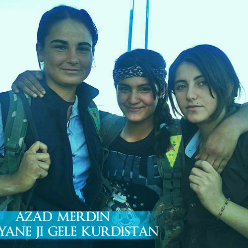 الشاعر فرهاد مردي يغني لكوباني