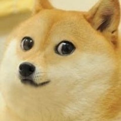 cant fukn finish anything (free DL tho)