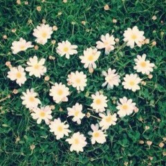 รวมเพลง 40 เพลงในอดีต