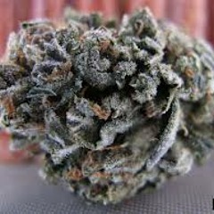 tre scotty and rome sama and bill money  mack on me