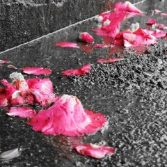 薄雪と寒椿と戦車 (Lyrics & written by IKUMI)